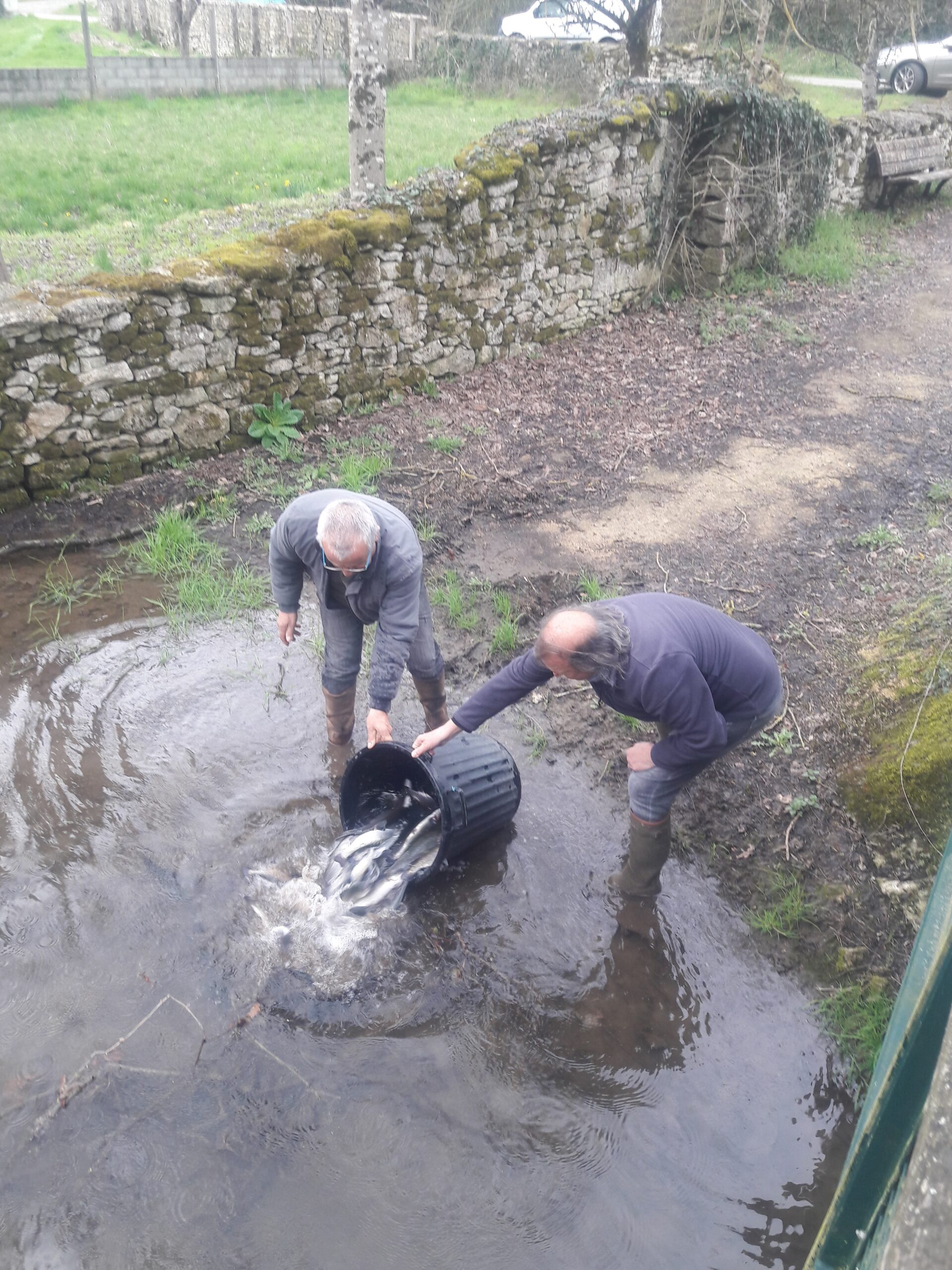 Actions de l'association