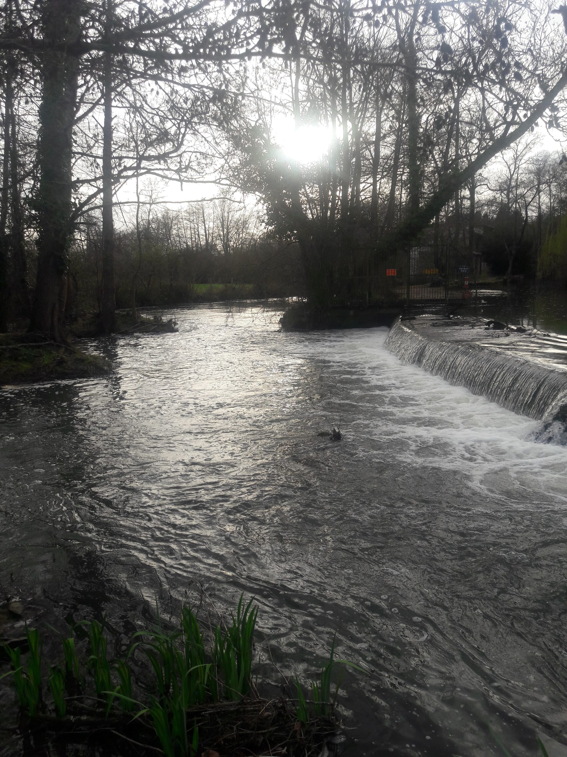 Actions de l'association