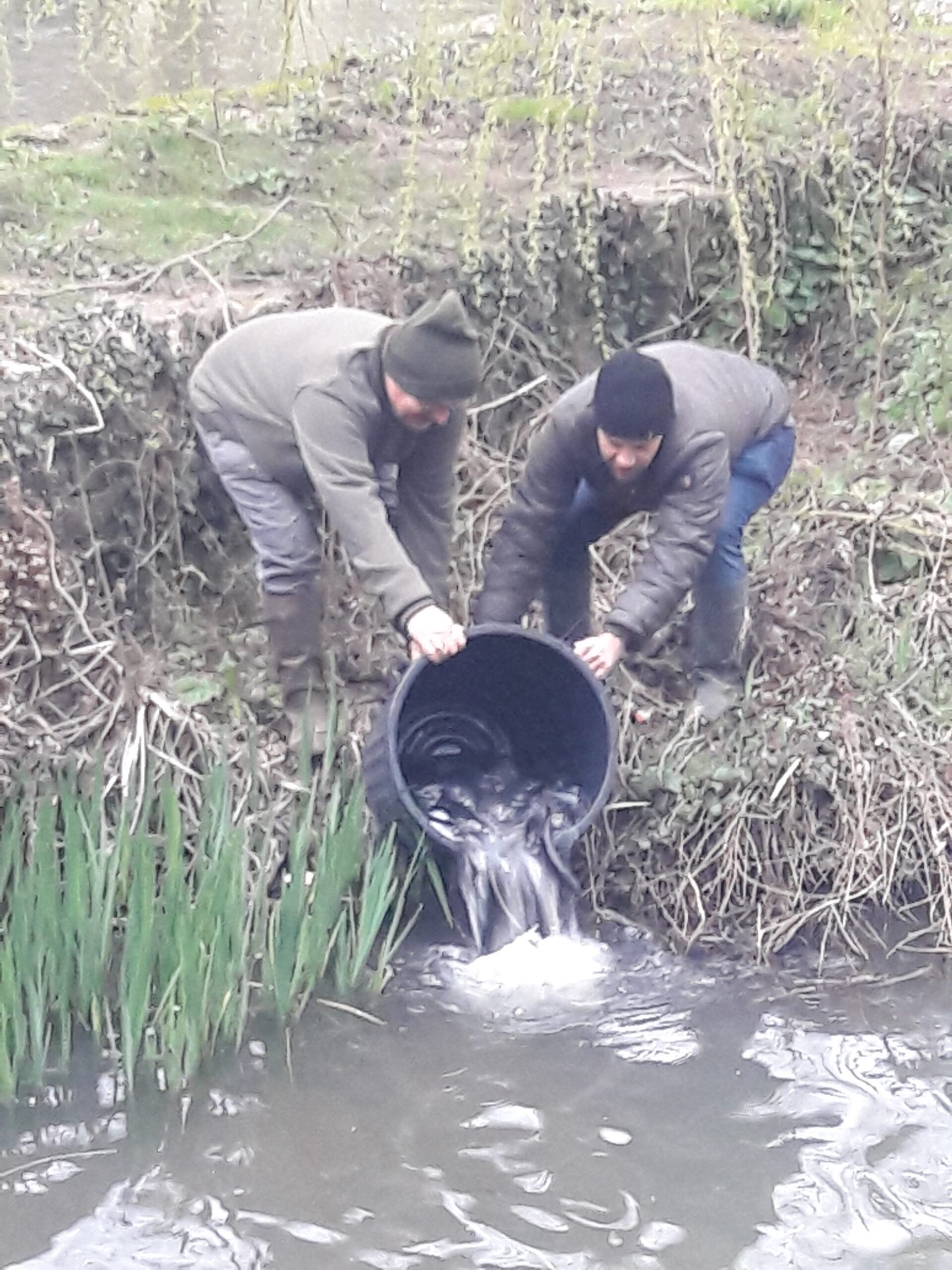 Actions de l'association