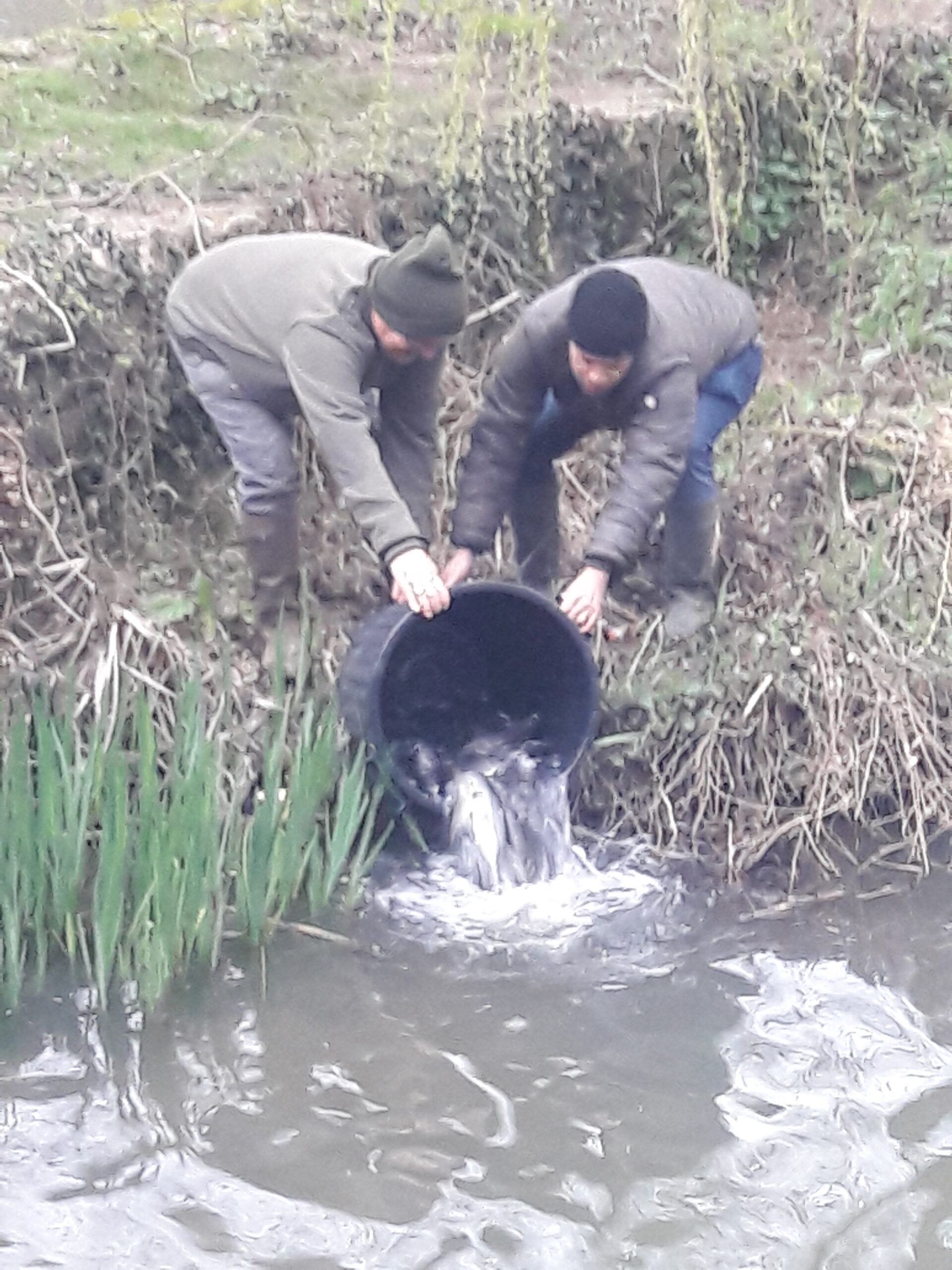 Actions de l'association