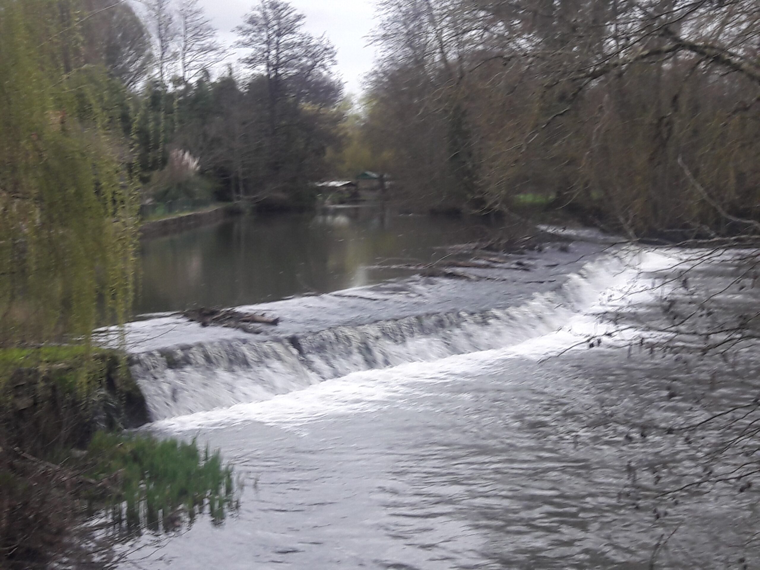 Actions de l'association