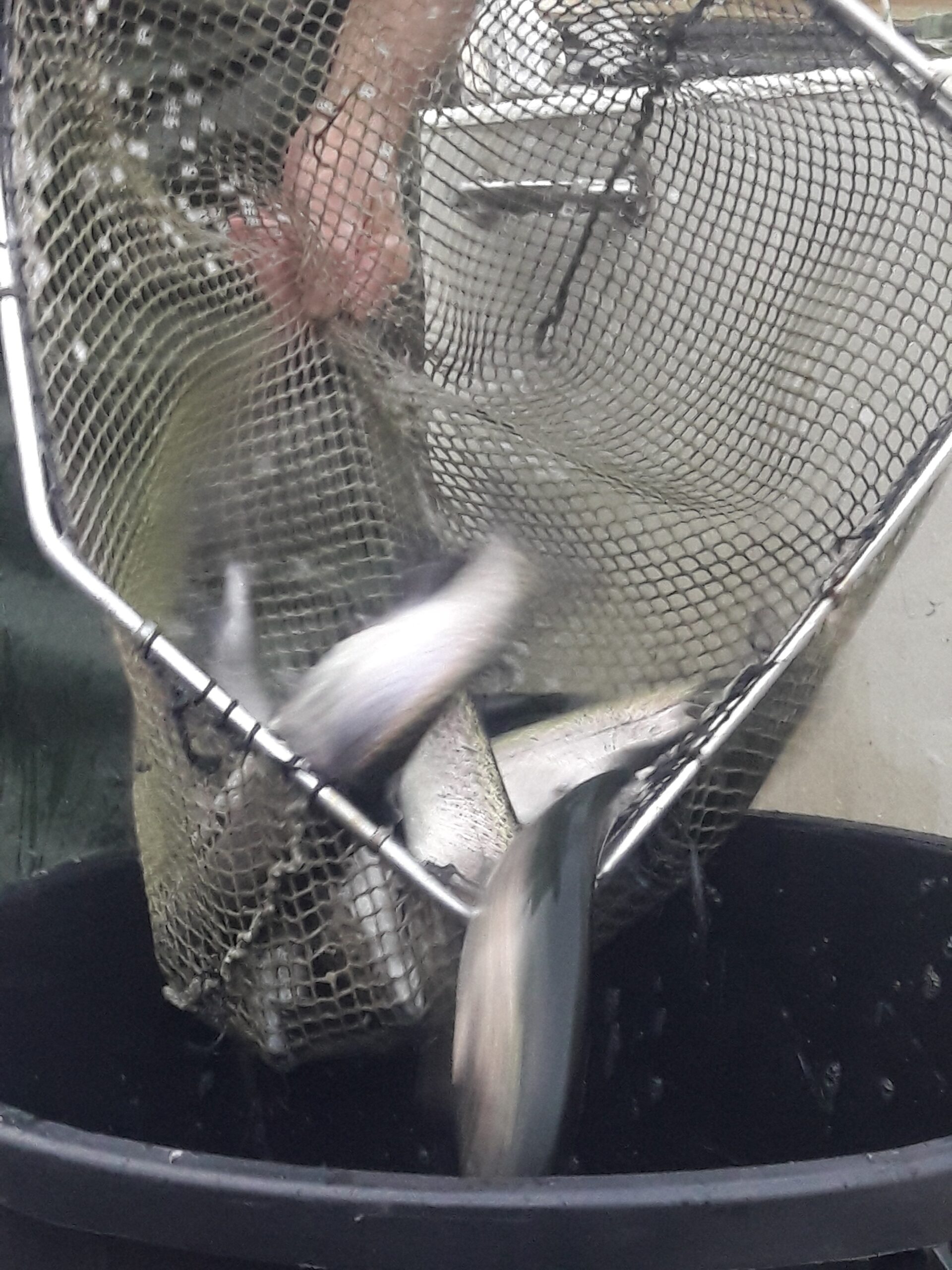 Actions de l'association