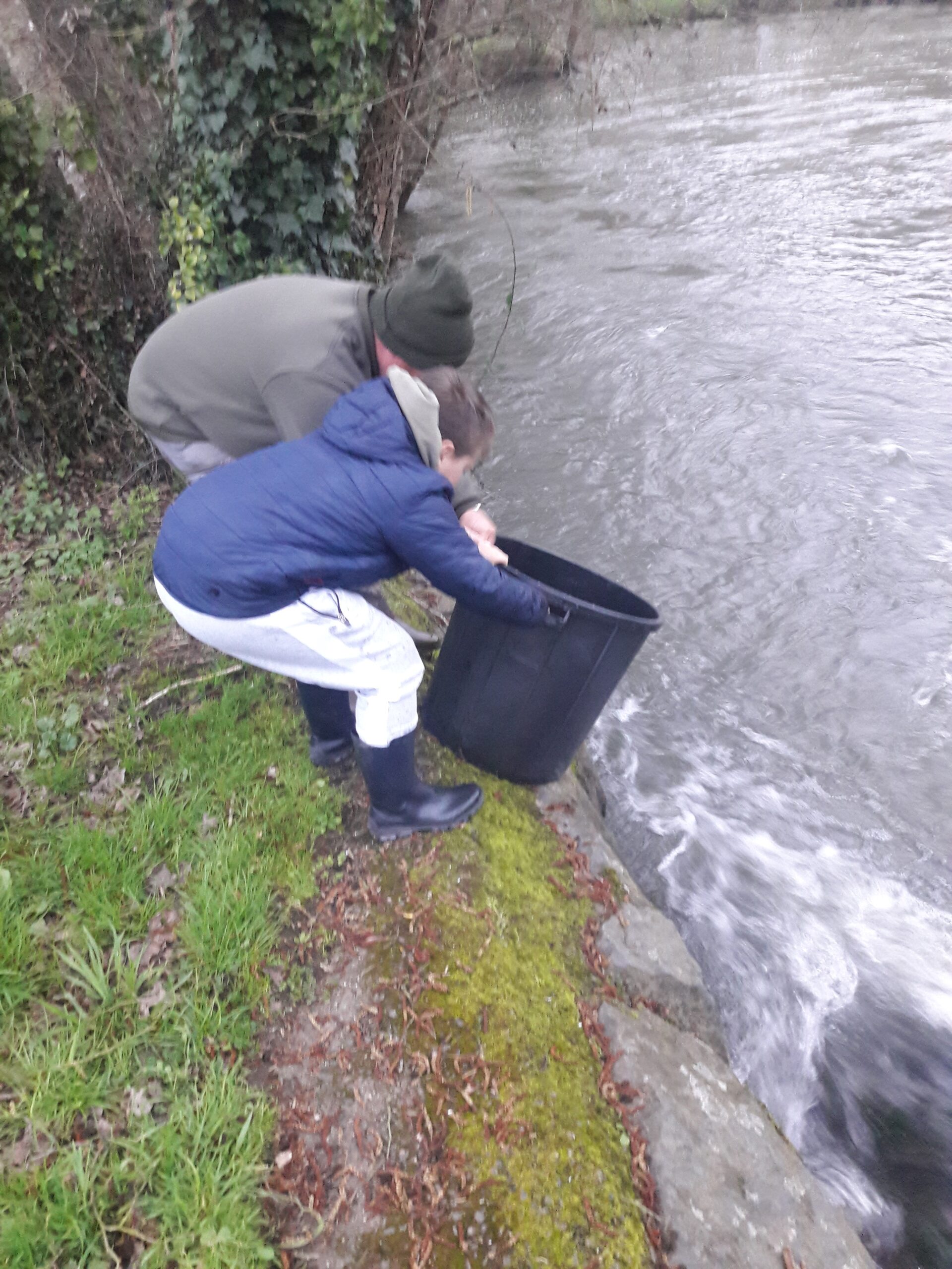 Actions de l'association