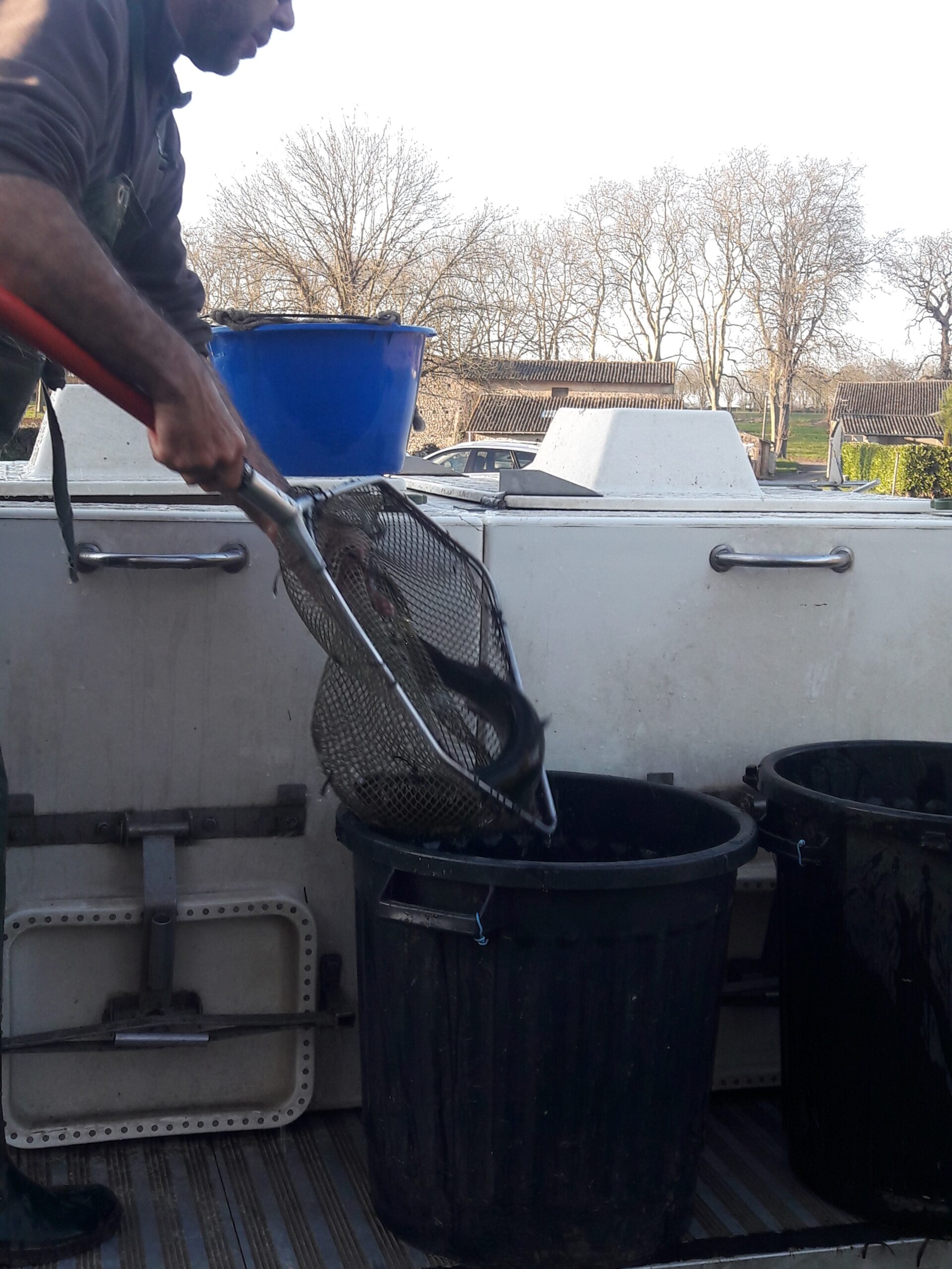 Travaux et entretien