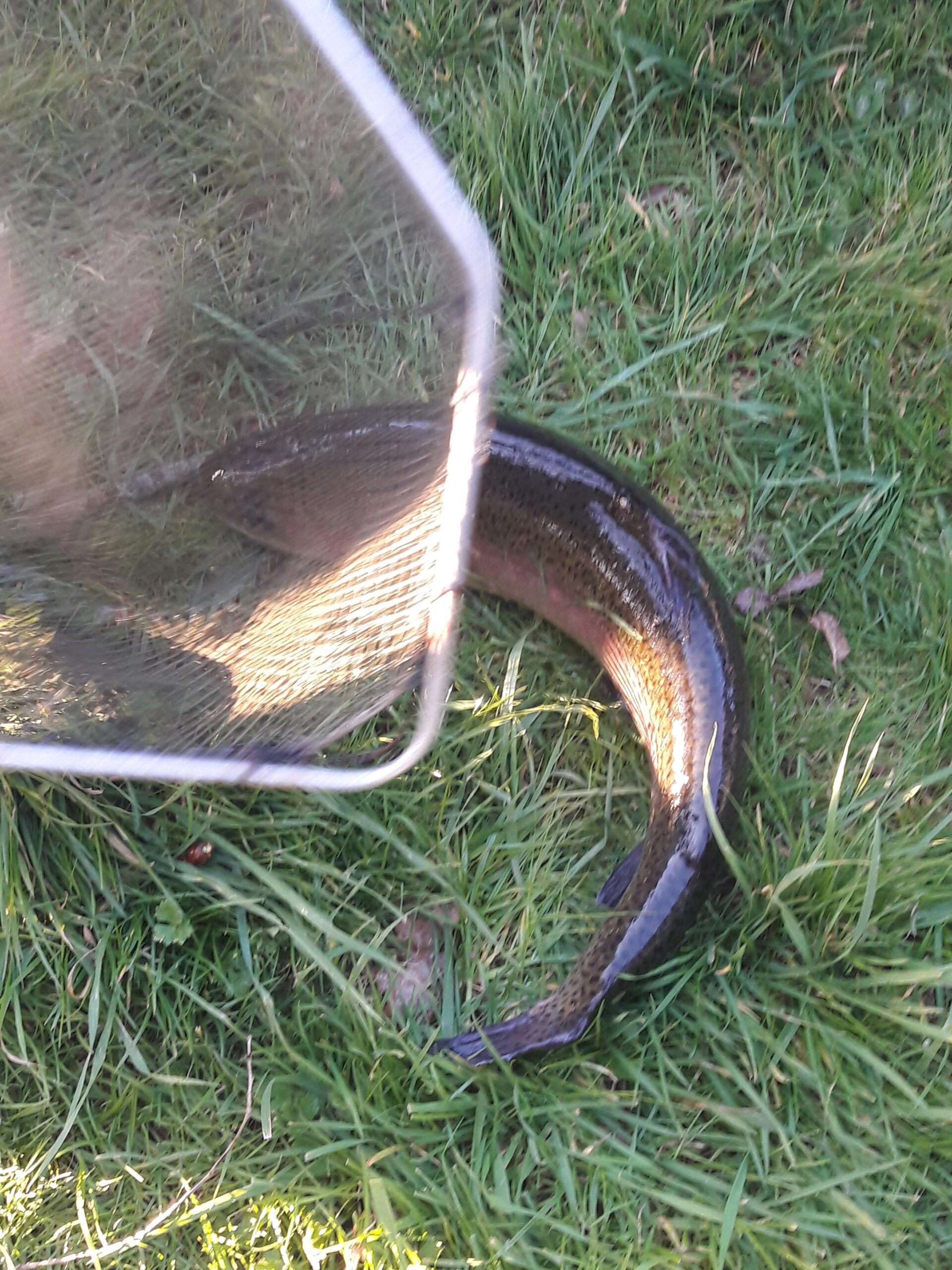 Travaux et entretien