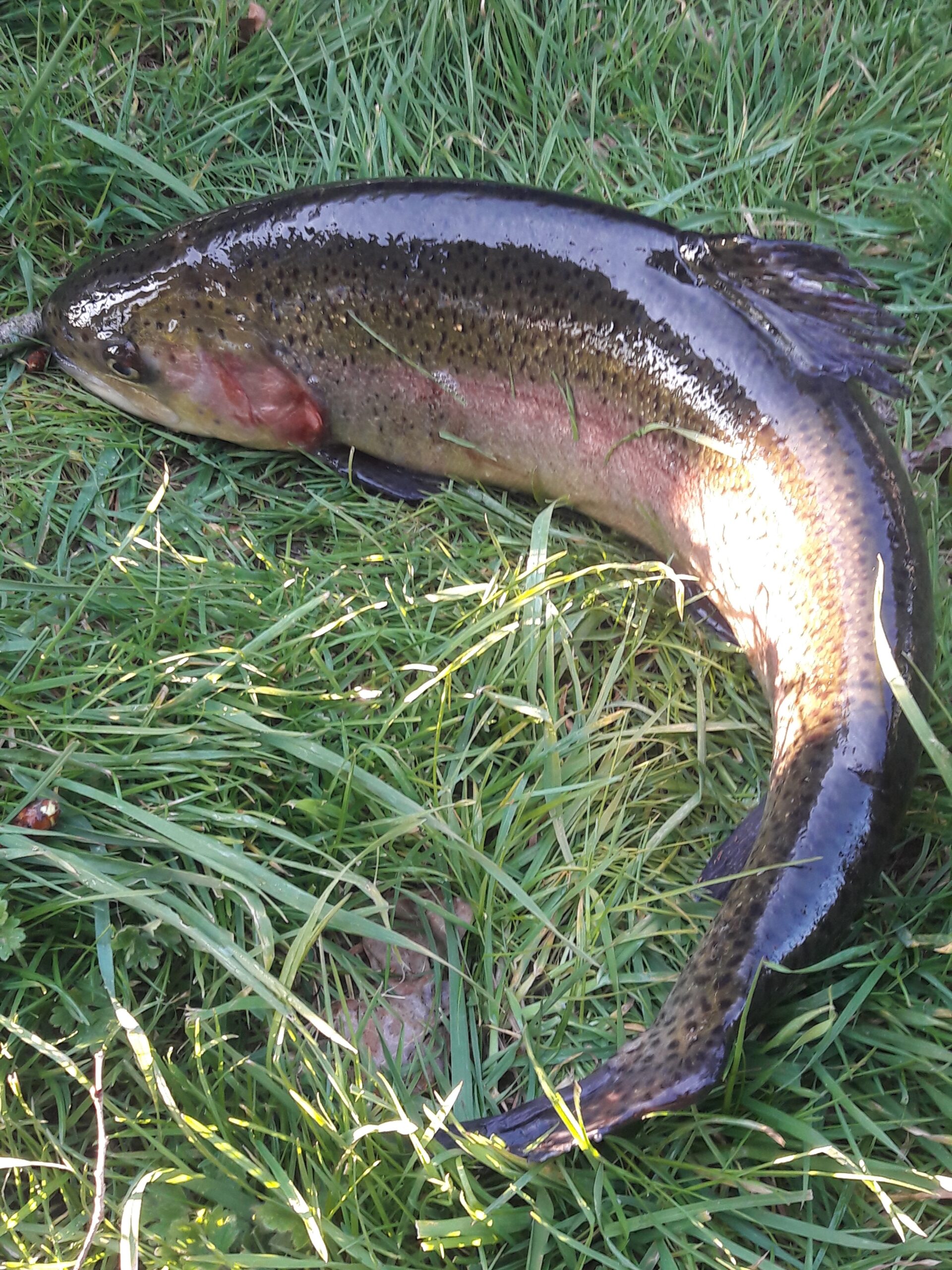 Travaux et entretien