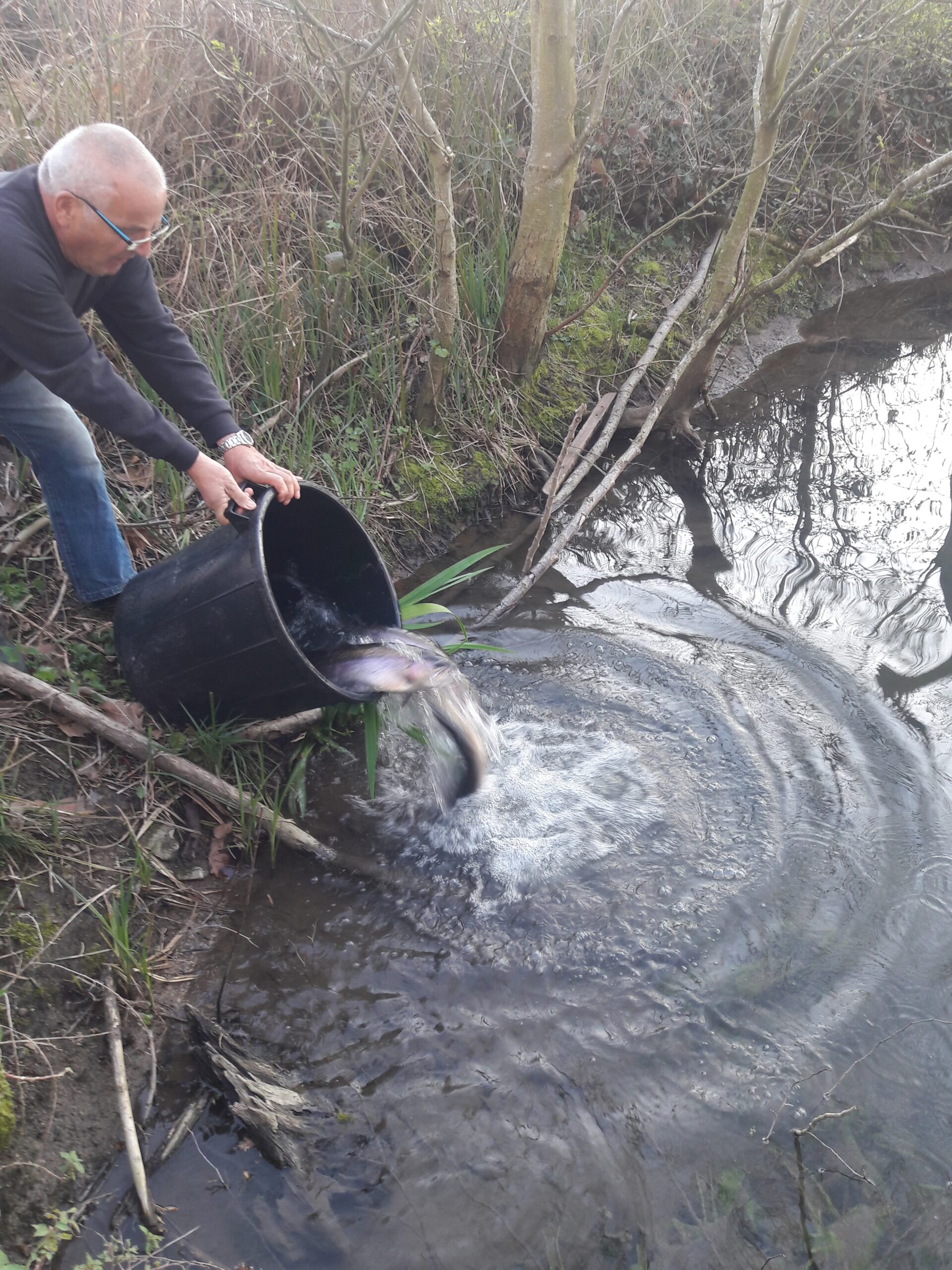 Travaux et entretien