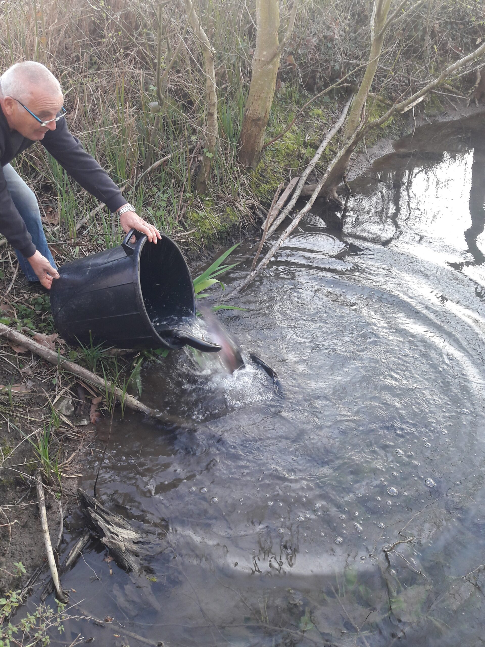 Travaux et entretien