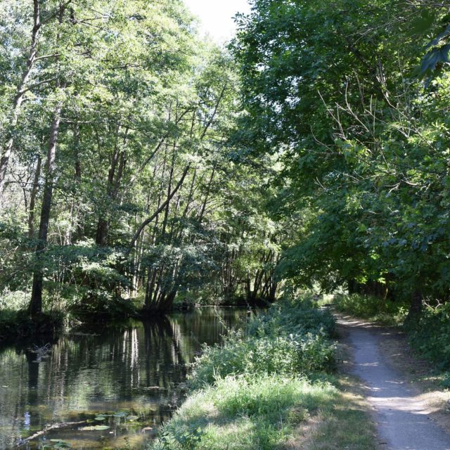 Berges de l'Île de Candé