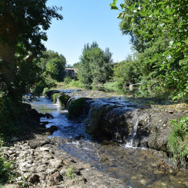 Paysage de l'Île de Candé