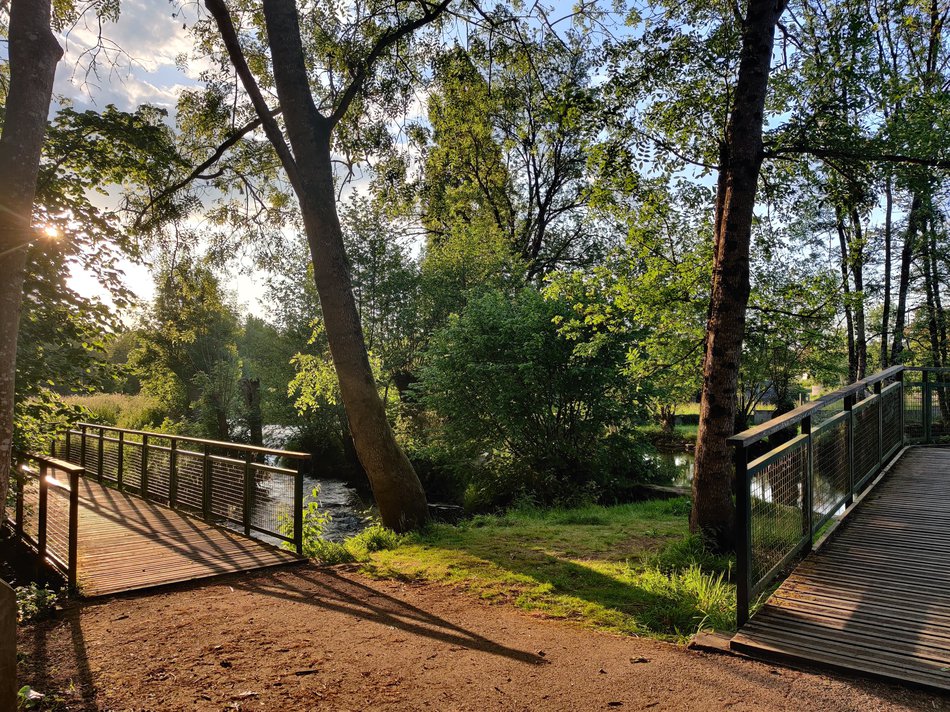 La Sèvre Niortaise à l'Île de Candé