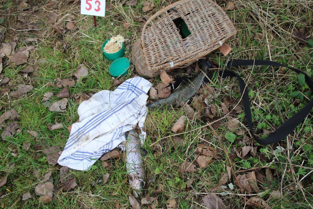 Poste de pêche à Magné