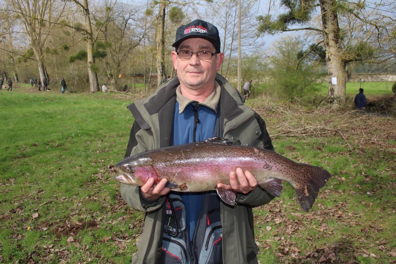 La Sèvre au Port de Niort