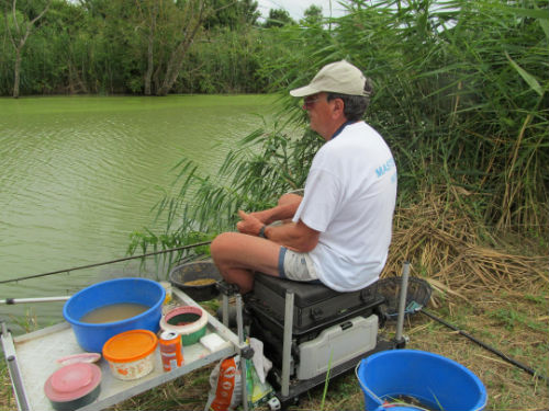 Remise de médailles aux bénévoles